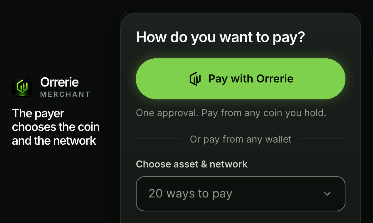 The payer chooses the coin and the network: the built checkout page a payer sees.